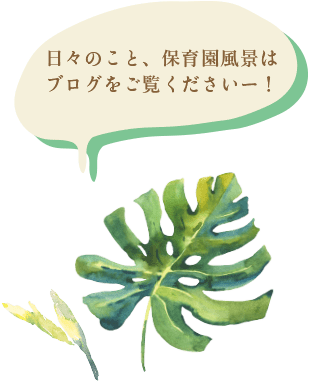 園のこと、日々のこと ぜひご覧ください